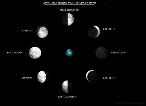 1243760582278-lunar month